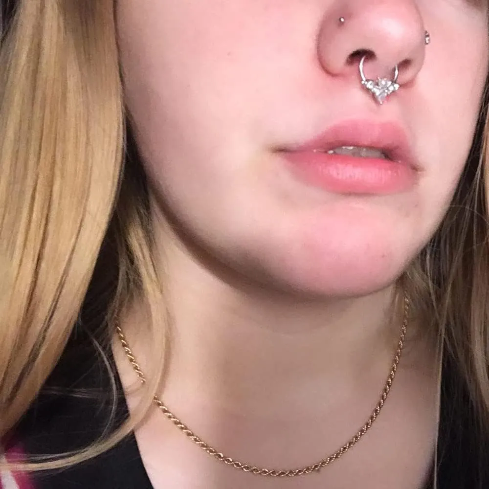 16G Septum Ring for Women Men 316L Surgical Stainless Steel Nipple Rings Cute Halloween Bat Nose Ring Seamless Hinged Segment Clicker CZ Daith Earrings Rook Helix Tragus Cartilage Piercing Jewelry
