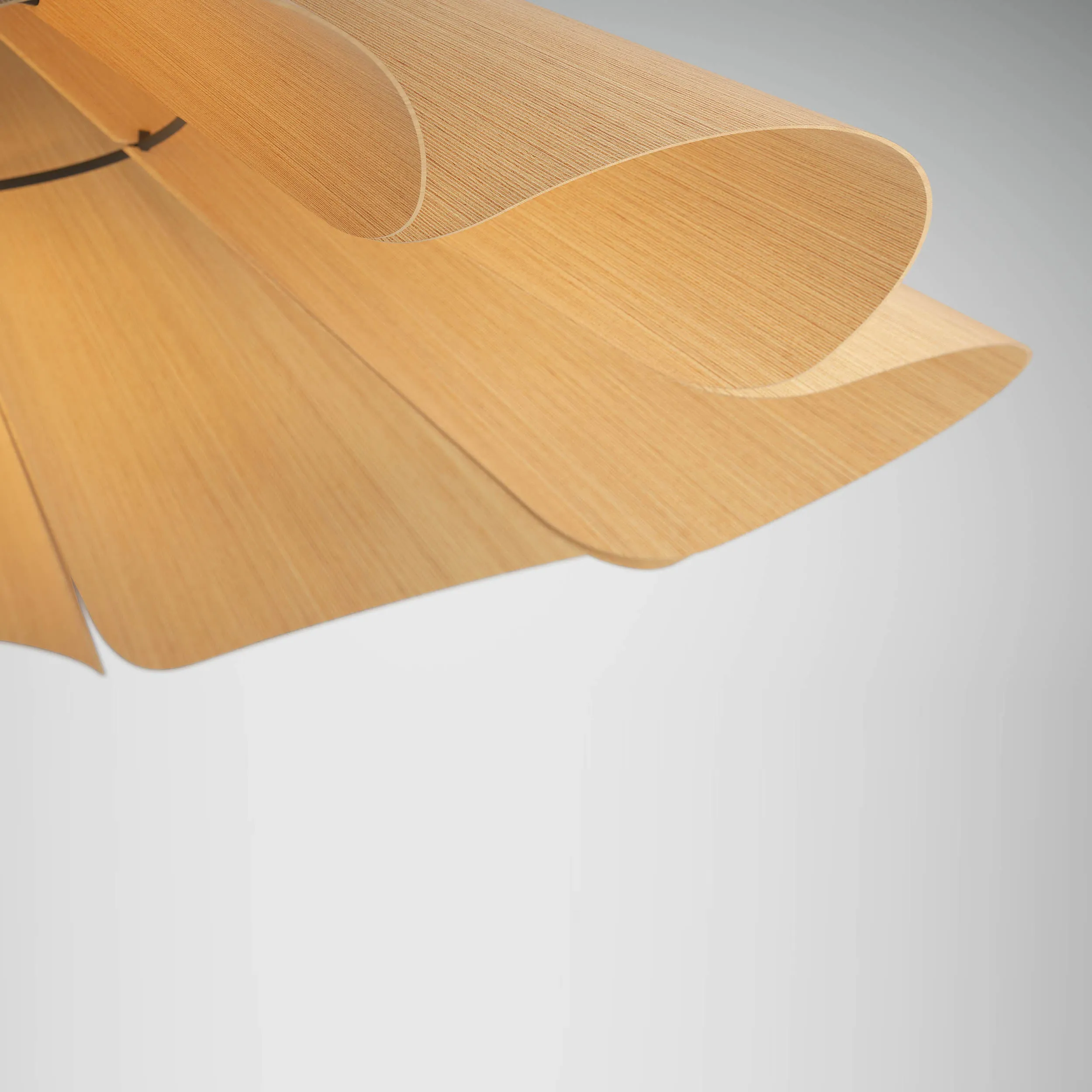 Delfina 80 Pendant Light