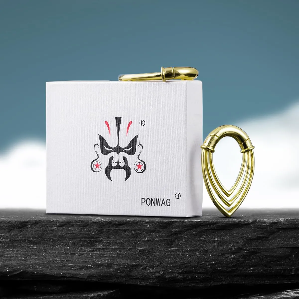 PONWAG 1 Pair 4mm 5mm Punk Ear Weight 4g 6g Ear Gauge Dangle Plug Hanger Hoop Brass Gothic Rivets Cobweb Ear Tunnels For Women Men Body Piecing Jewelry