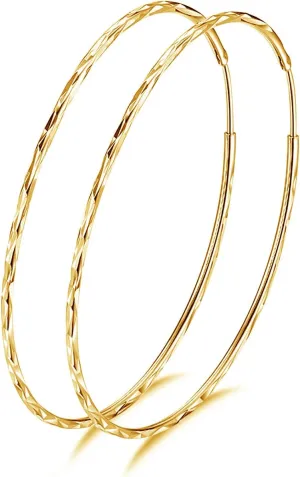 POPLYKE 925 Sterling Silver Circle Endless Hoop Earrings for Women 20 30 40 50 60 70mm