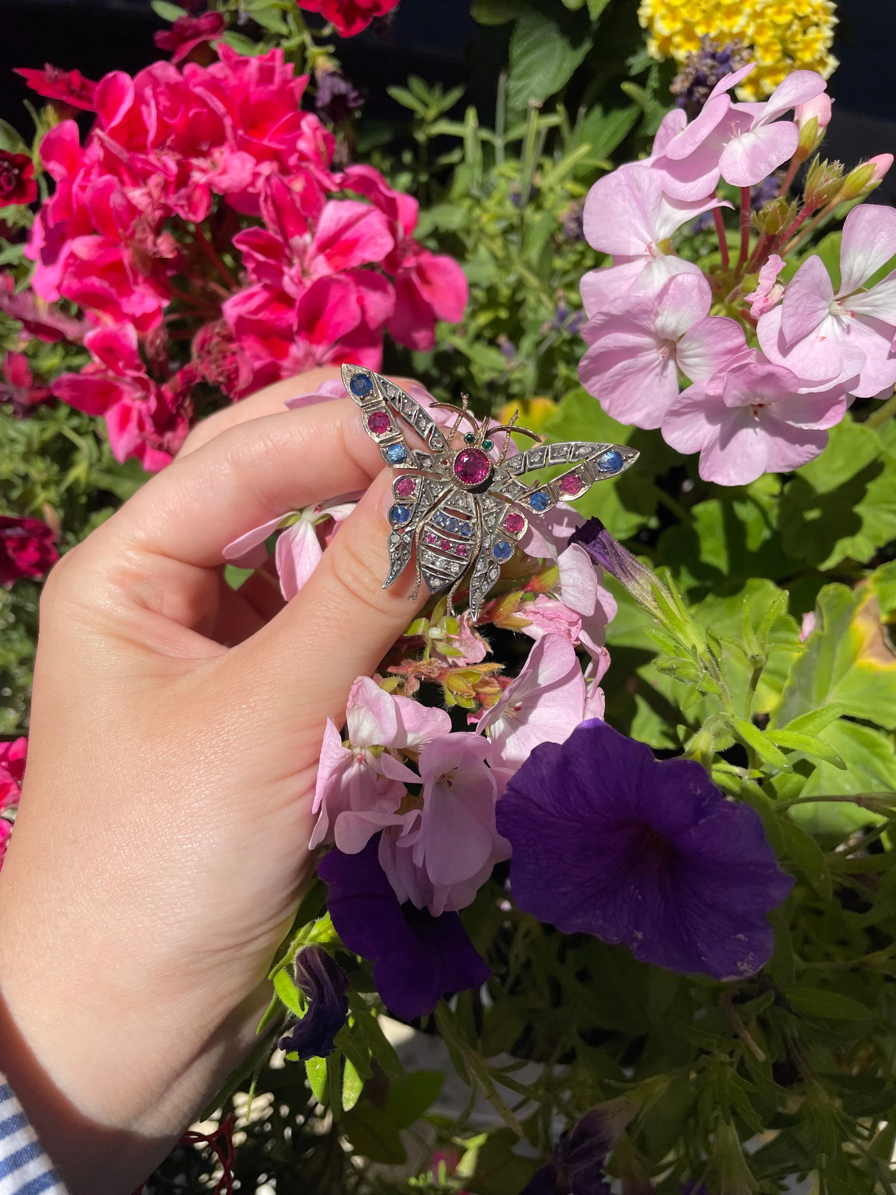 Victorian  12kt Ruby,Sapphire and Diamond Butterfly Pin